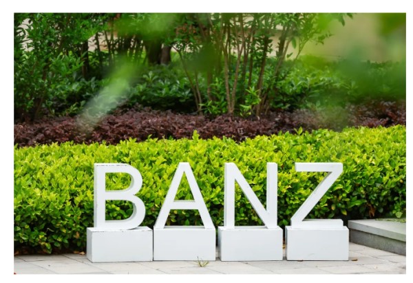 BANZȫУ2025괺